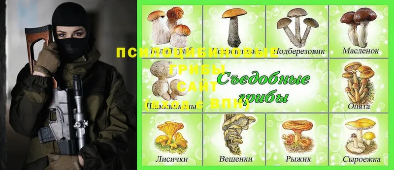 Псилоцибиновые грибы Magic Shrooms  Безенчук 